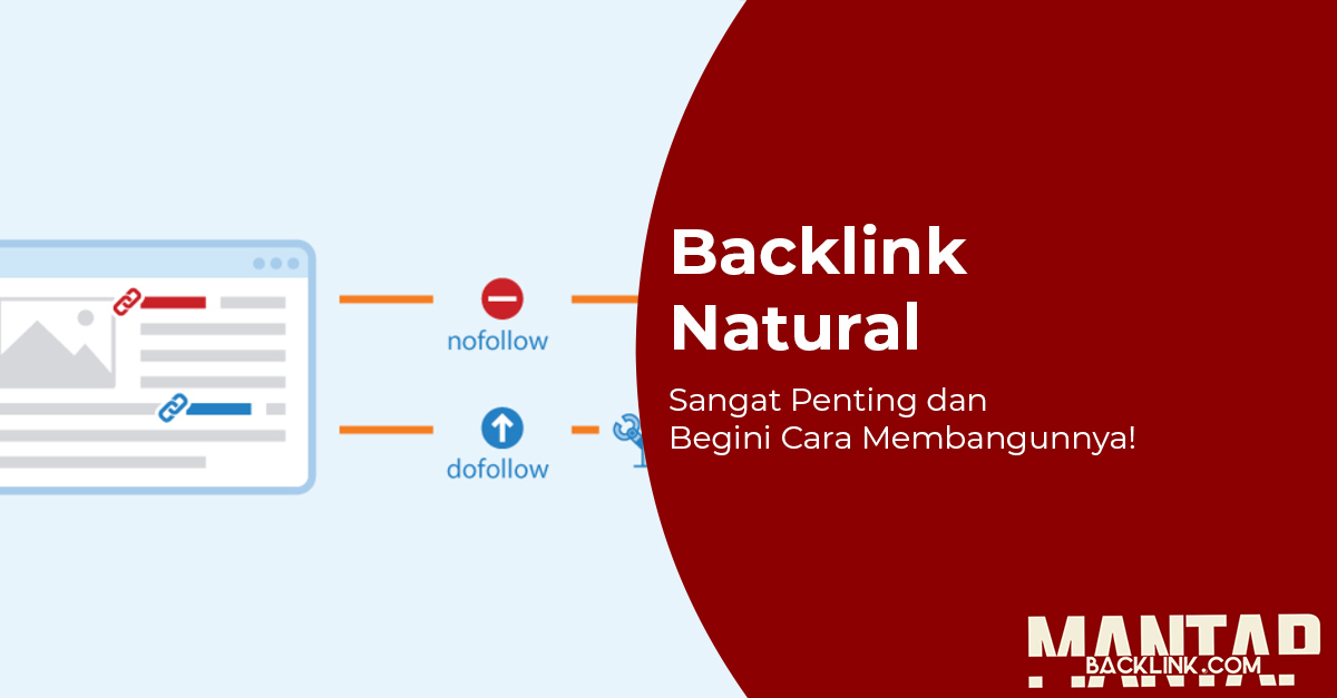 Backlink Natural